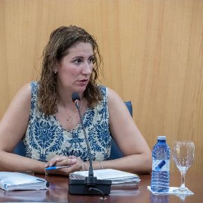 Pleno29Julio-11