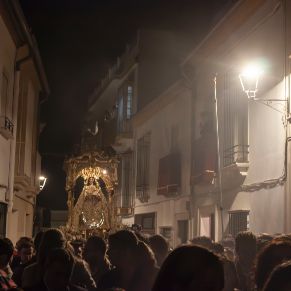 Procesio¿n29