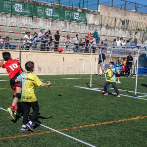 Provinciales10