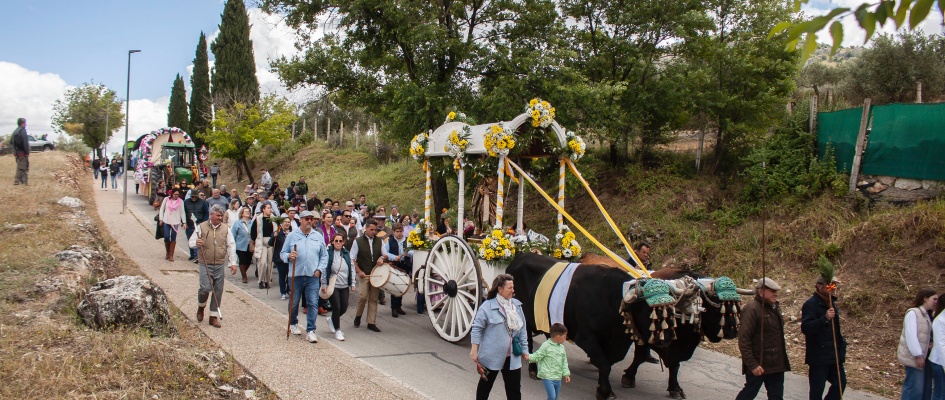 Romeria2024-01