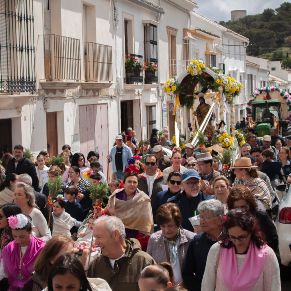 Romeria2024-11