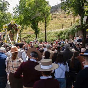 Romeria2024-23